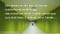 Des jeunes... (Clemi, formation de formateurs)