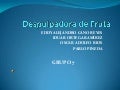 Despulpadora de fruta 1