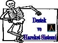 Destek ve hareket sistemi2
