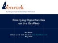 Emerging Opportunities on the Geoweb