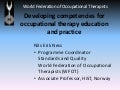 Developing competencies for occupational therapy education and practice