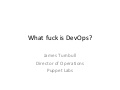 What the Fuck is DevOps?