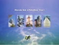 Wisconsin Stateof Philanthropy Report 2009 by DFW