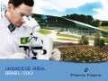 DGAZ Clientes Diversos - Parte 2