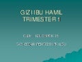 Dgz 121 slide_gizi_ibu_hamil_trimester_1