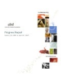 DHF - Progress report 2009