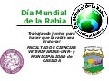 Dia mundial rabia