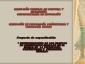 Diapositivas