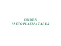 Diapositivas Tema 23 Y 24. Orden Mycoplasmatales. GéNeros Rickettsia, Coxiella, Ehrlichia, Bartonella