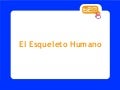 Diapositivas anatomia 1
