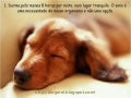 DICAS PARA FICA ZEN
