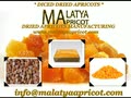Diced dried apricots