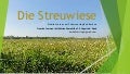 Die Streuwiese
