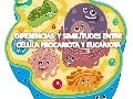 Diferencias entre célula procariota y eucariota