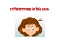 Different parts of the face