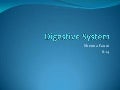 Digestive system