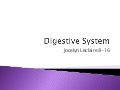 Digestive system