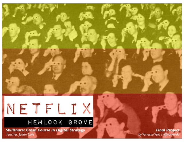 Digital Strategy for Netflix: Hemlo...