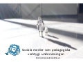 Sociala medier läromedel