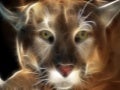 Digital Art Wallpapers