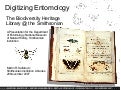 Digitizing Entomology: The Biodiversity Heritage Library @ the Smithsonian