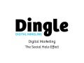 Digital Marketing  - The Social Halo Effect