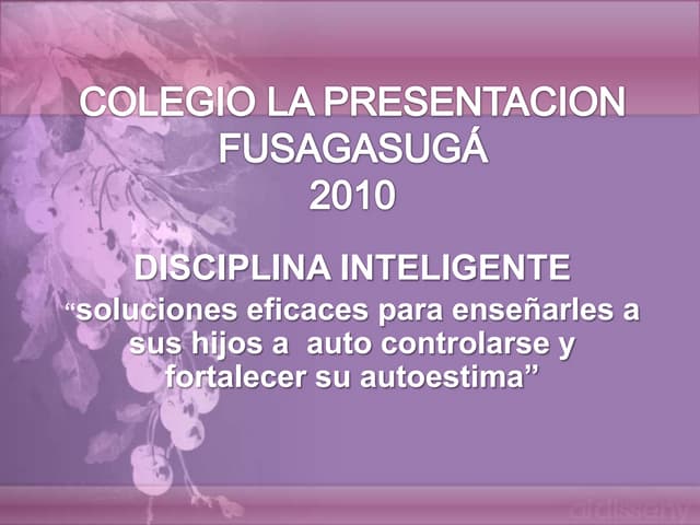 Disciplina inteligente