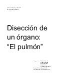 Disección del pulmón