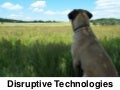 Disruptive Technologies - an introduction