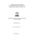 O QUE OS METAVERSOS ENSINAM SOBRE O CONSUMO? O CASO SECOND LIFE.