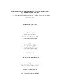 Differences in Venture Capital Financing of U.S., UK, German and French IT Start-ups