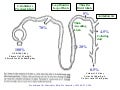 Diuretics