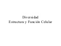 Introduccion De Estructura Y Diversidad Celular