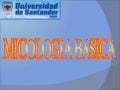 Divisiones de la Micología