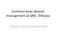 TLI 2012: Data management for bean breeding - Ethiopia