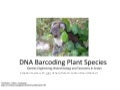 DNA Barcoding Workshop