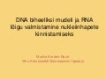 DNA mudeli ja RNA lõigu valmistamine