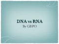 DNA vs. RNA