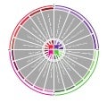 Festival Design DNA Wheel