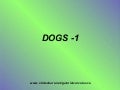 Dogs  1