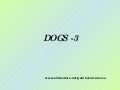 Dogs  3