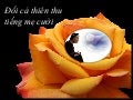 Doi ca thien thu tieng me cuoi 2