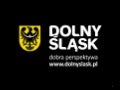 Dolnoslaskie Koleje Dojazdowe