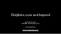 Dolphins Now And Beyond - FOSDEM 2010