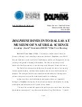 IMAX Film Dolphins Opens