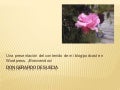 don Gerardo de suecia – un blog en ppt
