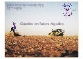 Rallye des Gazelles 2014 : Dossier de sponsoring des Gazelles en talons aiguilles