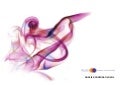 Dossier pulso 2012