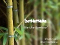 DotNetNuke: Be Like Bamboo