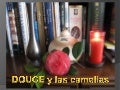 Douce y las camelias